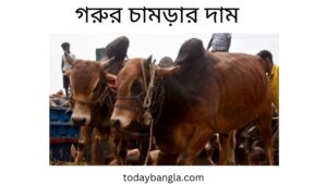 গরুর চামড়ার দাম